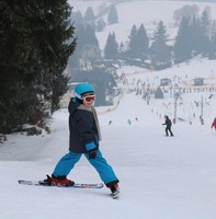 ski postcard category